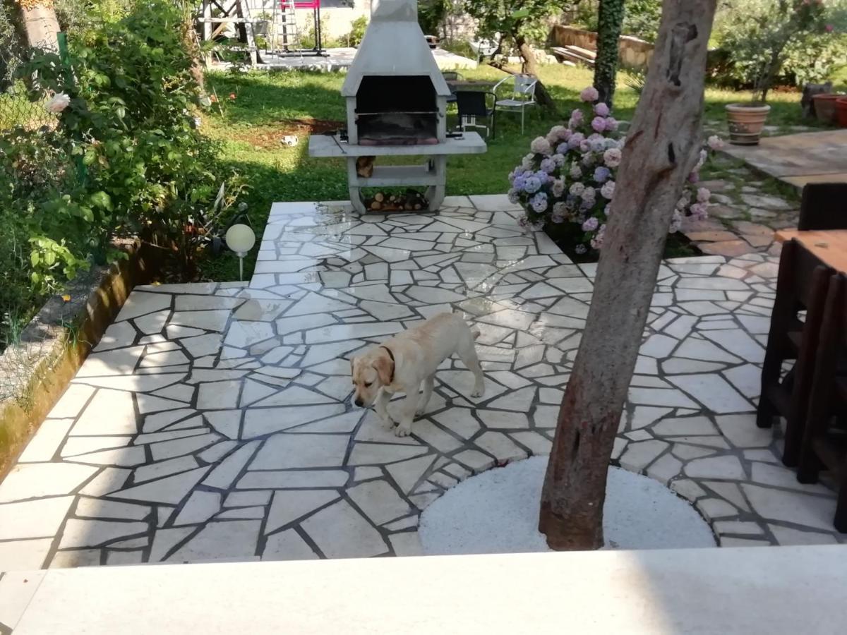 Apartmani Palmas غييكا المظهر الخارجي الصورة